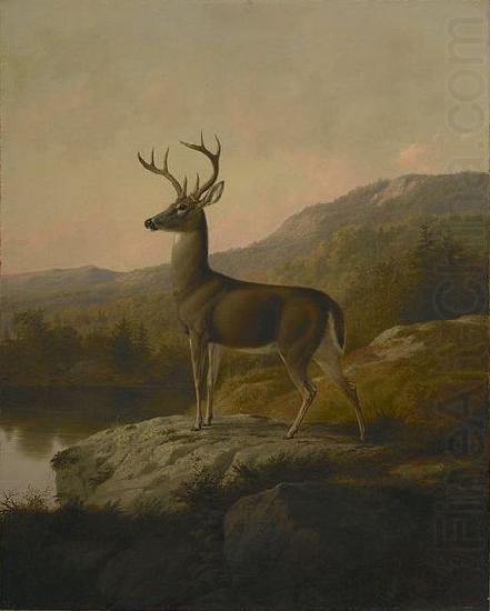 unknow artist Deer china oil painting image